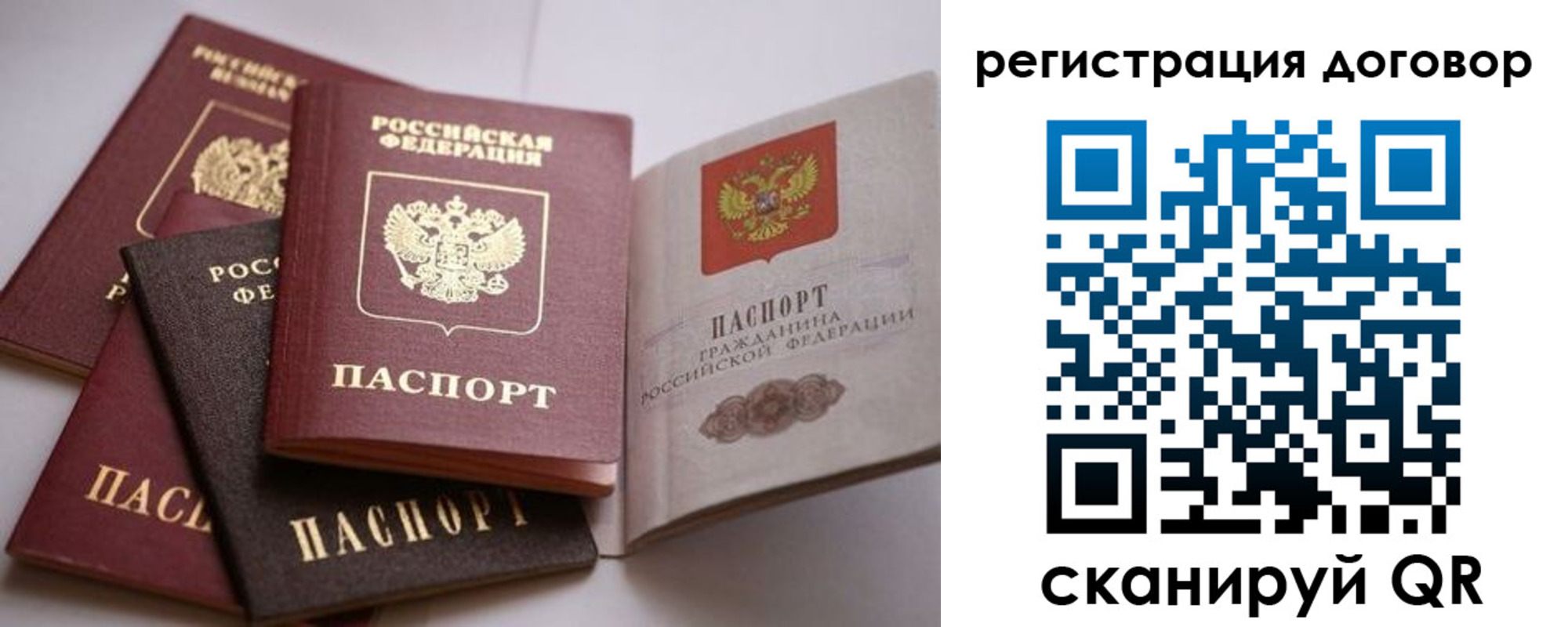 прописка в Фролово